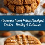 Cinnamon Sweet Potato Breakfast Cookies Recipe