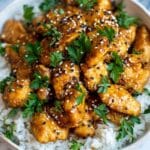 Slow Cooker Chicken Teriyaki Recipe
