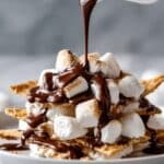 S’mores Nachos: A Fun and Irresistible Twist on a Classic Treat Recipe