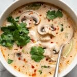 Slow Cooker Tom Kha Soup (Thai Coconut Chicken Soup) Recipe