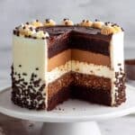 Tuxedo Cake: A Triple Chocolate Mousse Delight Recipe