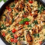 Creamy Chicken Orzo with Cherry Tomatoes and Spinach Recipe