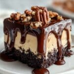 German Chocolate Poke Cake Recipe