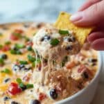 Crock Pot Chicken Nacho Dip Recipe
