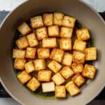 Indian Saag Paneer Recipe