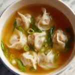 Wonton Soup Recipe with Pork and Bok Choy Recipe