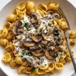 Best Creamy Mushroom Pasta Recipe