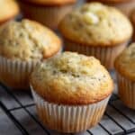 Best Sourdough Banana Muffins Recipe