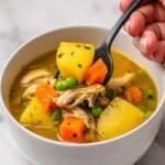 Slow Cooker Chicken Stew Recipe