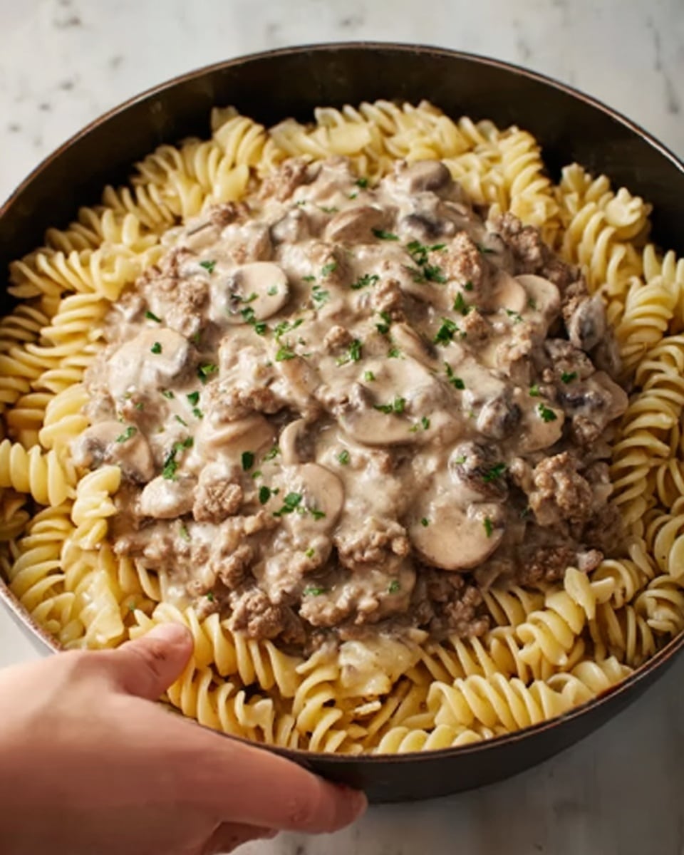 Ground Beef Stroganoff Recipe - Recipe Image
