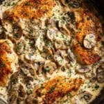 Creamy Chicken Stroganoff Recipe