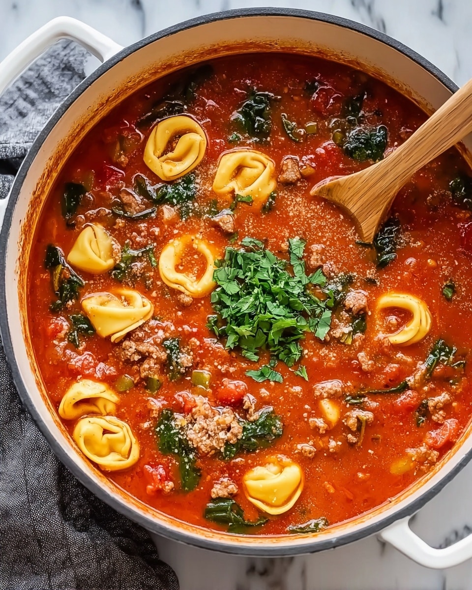 Tortellini Soup with Ground Beef, Vegetables, and Spinach Recipe - Recipe Image
