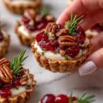 Cranberry Brie Bites Recipe