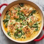 Salmon in Creamy Red Pesto Sauce Recipe