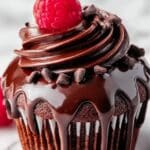 Irresistible Raspberry Chocolate Cupcakes Recipe