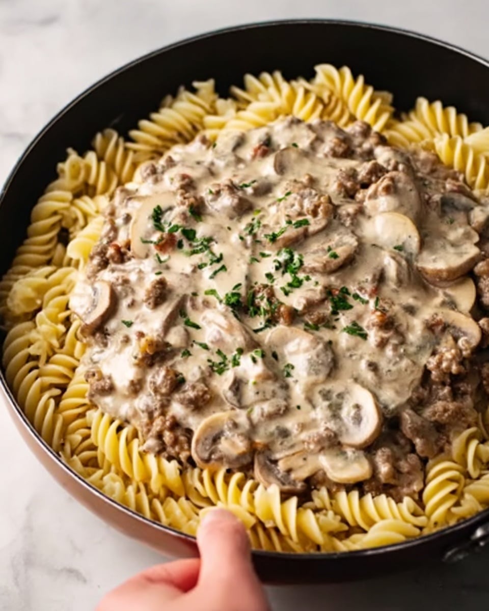 Ground Beef Stroganoff Recipe