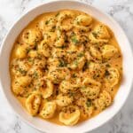 French Onion Pasta Recipe