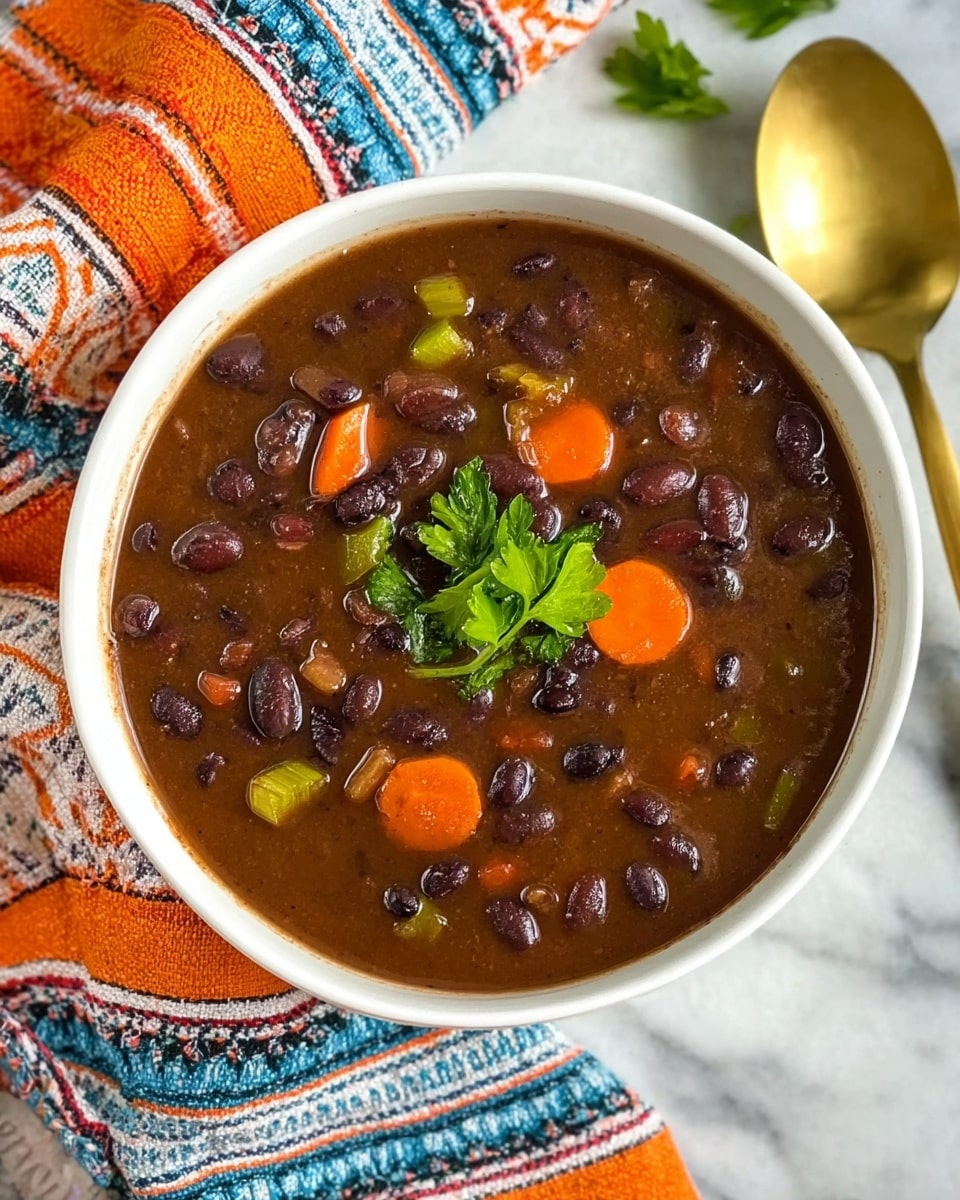 Easy Black Bean Salsa Soup Recipe - Recipe Image