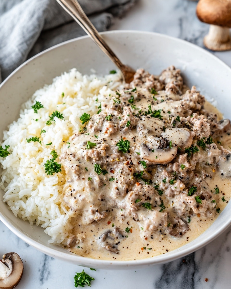 Ground Beef Stroganoff and Rice Recipe - Recipe Image
