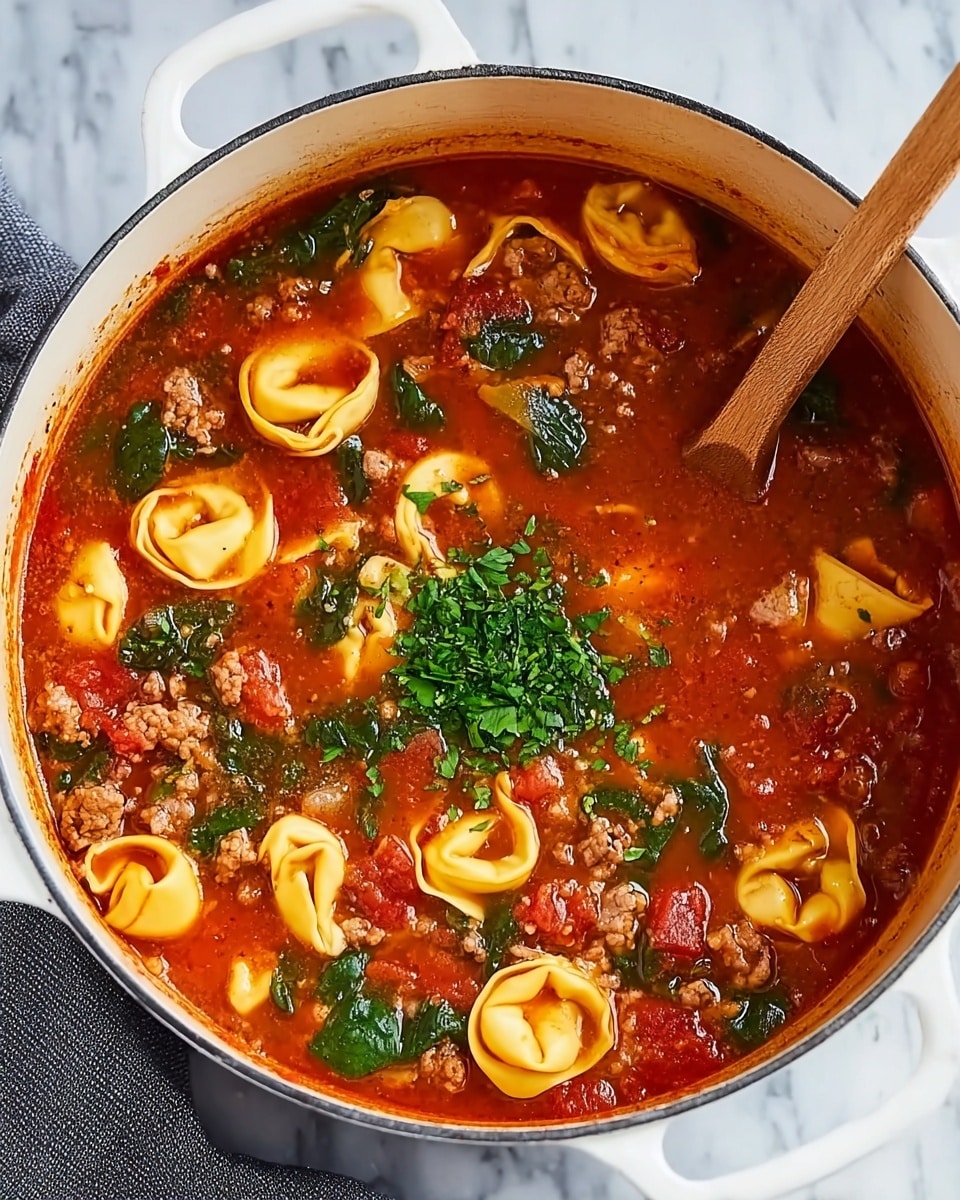 Tortellini Soup with Ground Beef, Vegetables, and Spinach Recipe - Recipe Image