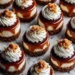 Mini Dulce de Leche Cheesecakes Recipe