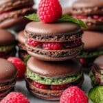 Dark Chocolate Raspberry Macarons: A Decadent Treat for Every Occasion Recipe