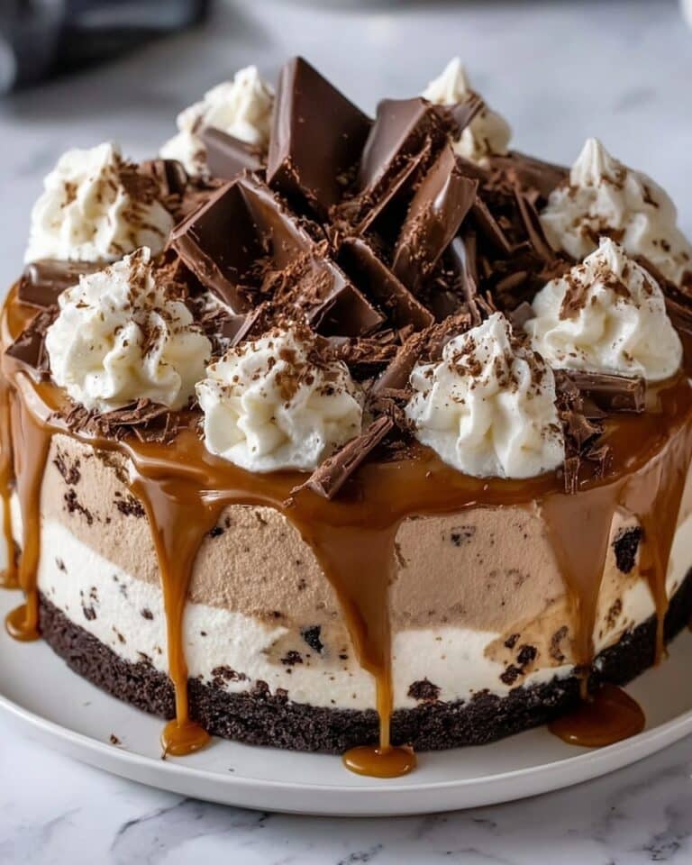 Coffee and Fudge Ice Cream Cake Recipe