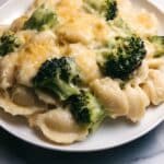 Cheesy Chicken and Broccoli Rice Casserole Recipe