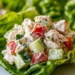 Cucumber Chicken Salad Recipe