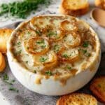 Homemade French Onion Dip From Scratch Recipe