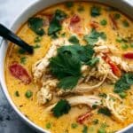 Thai-Inspired Curry Chicken Soup Recipe