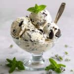 Homemade Mint Chocolate Chip Ice Cream Recipe