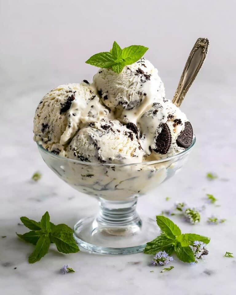 Homemade Mint Chocolate Chip Ice Cream Recipe