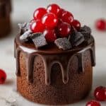 Chocolate Mini Cakes with Rich Fudge Frosting Recipe