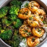 Broccoli Shrimp Stir Fry Recipe