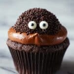 Groundhog Day Cupcakes Recipe
