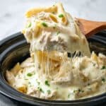 Crock Pot Chicken Alfredo Casserole Recipe