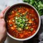 Vegetarian Hot and Sour Soup Recipe