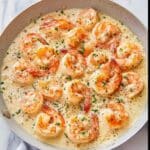 Creamy Garlic Shrimp Recipe