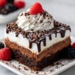 One-Minute Protein Brownie Recipe