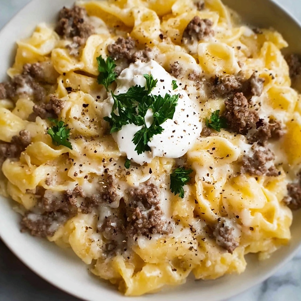 Sour Cream Beef Noodle Casserole Recipe 6 Sour Cream Beef Noodle Casserole Recipe - Recipe Image