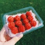 Hot Cheeto Fried Pickles Recipe