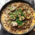 Lentil Mushroom Stroganoff: A Hearty Vegetarian Delight Recipe