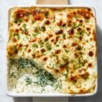 Cheesy Chicken Alfredo Lasagna Recipe