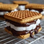 Peanut Butter S'mores Sandwich Cookies Recipe