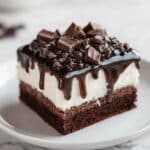 Mississippi Mud Cake Recipe