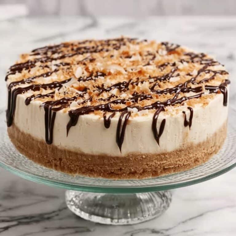 Toasted Samoa Cheesecake Recipe