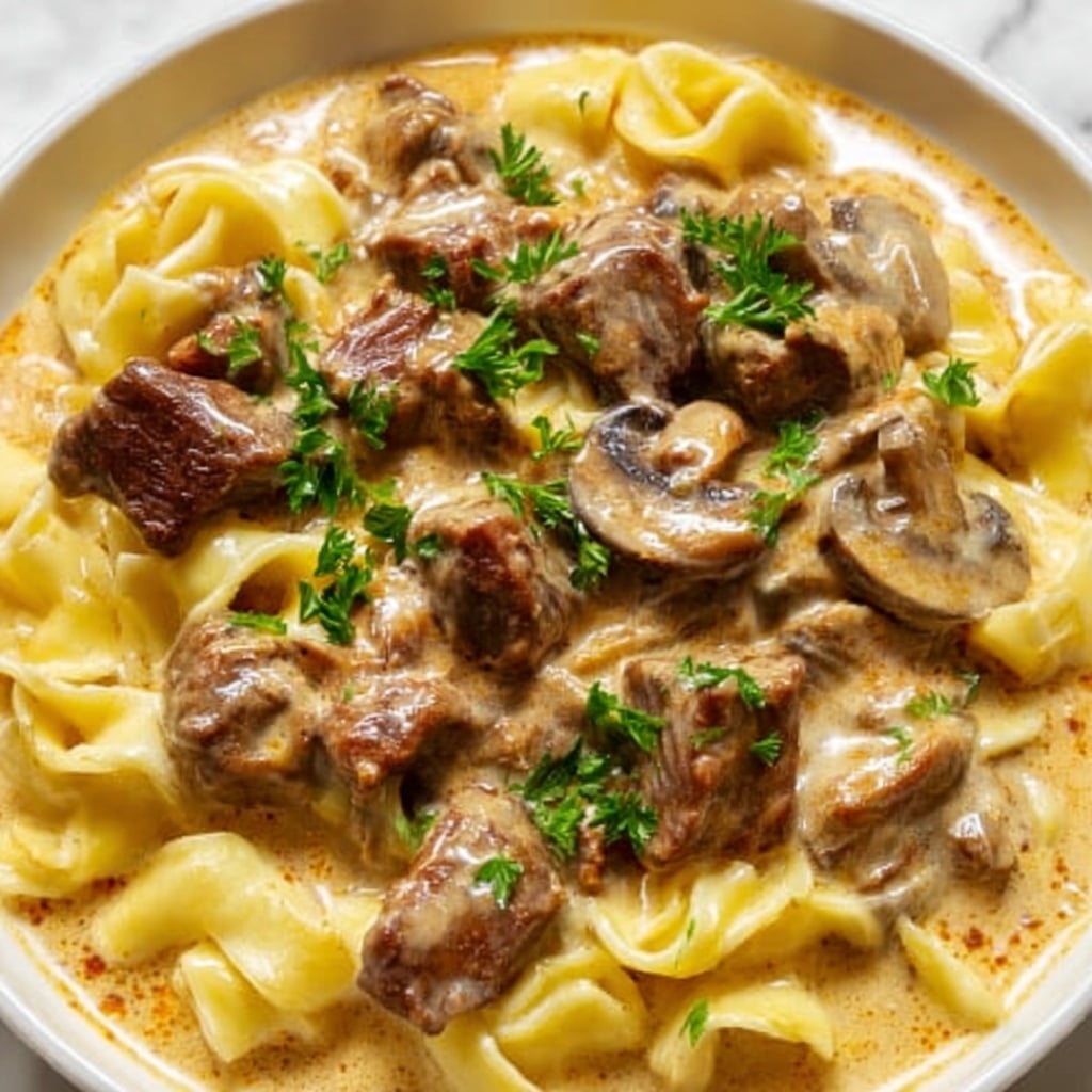 Quick and Easy Ground Beef Stroganoff Recipe 5 Quick and Easy Ground Beef Stroganoff Recipe - Recipe Image