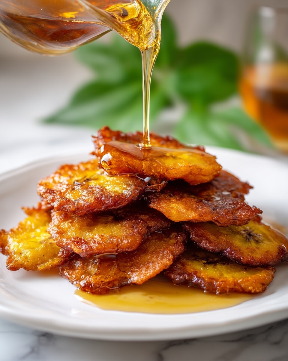 Fried Honey Fritters Recipe